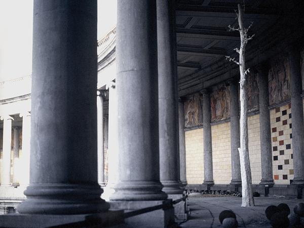 Ma, arbre de plâtre dans les arcades du Cinquantenaire